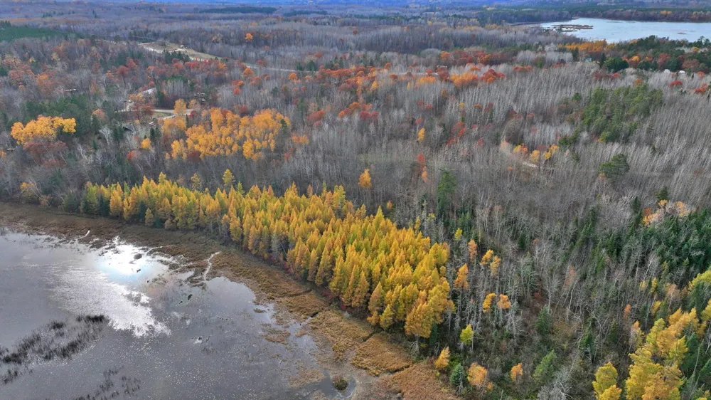TBD New Paradise Point Drive - Lot 8 Lake George, MN 56458