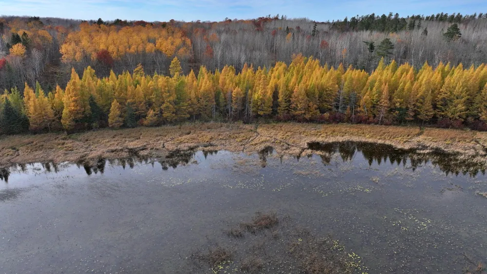 TBD New Paradise Point Drive - Lot 8 Lake George, MN 56458