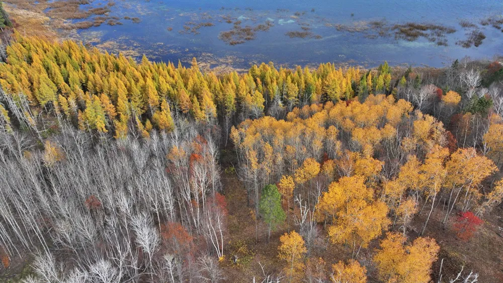 TBD New Paradise Point Drive - Lot 8 Lake George, MN 56458