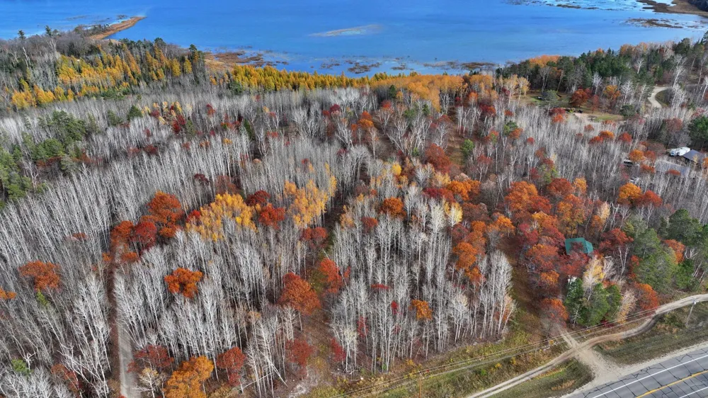 TBD New Paradise Point Drive - Lot 8 Lake George, MN 56458