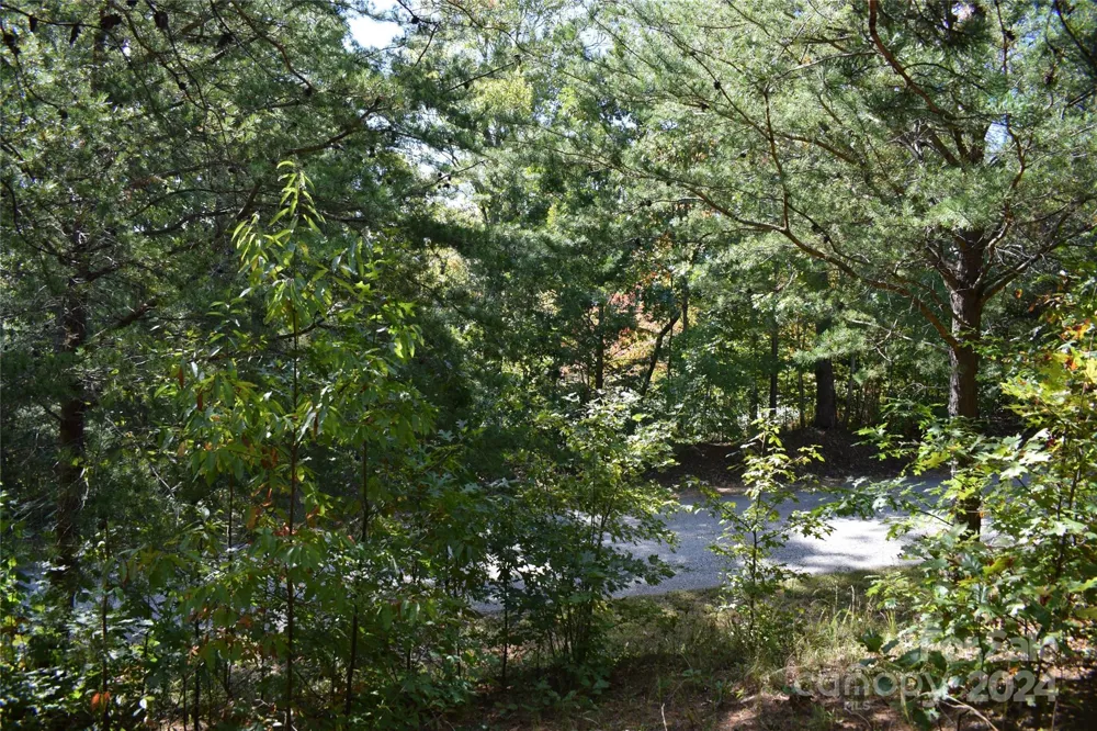 0 Holland Drive #3 Columbus, NC 28722