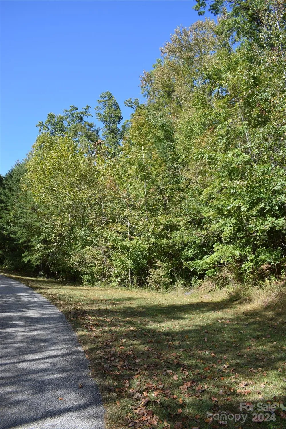 0 Holland Drive #3 Columbus, NC 28722