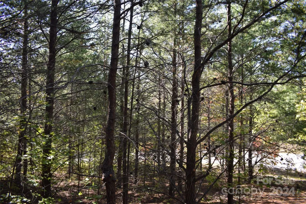 0 Holland Drive #3 Columbus, NC 28722