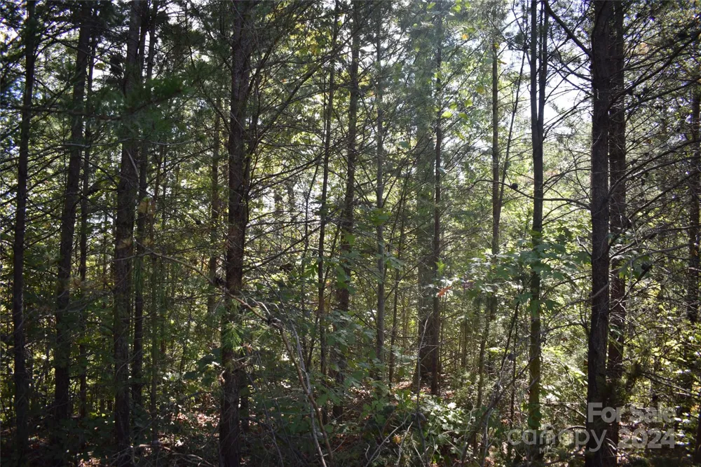 0 Holland Drive #3 Columbus, NC 28722