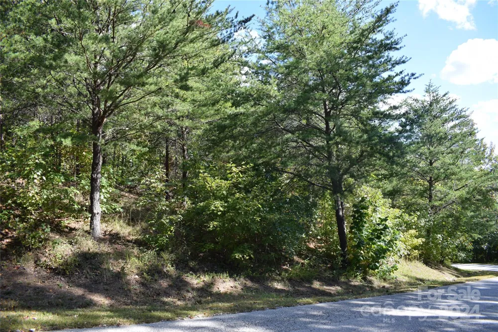0 Holland Drive #3 Columbus, NC 28722