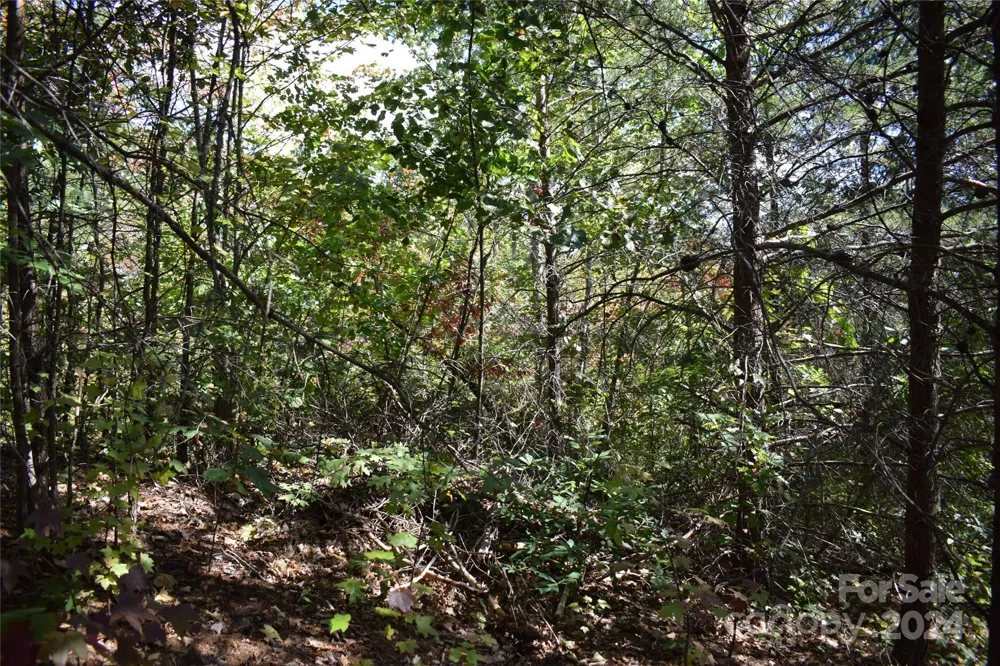 0 Holland Drive #3 Columbus, NC 28722