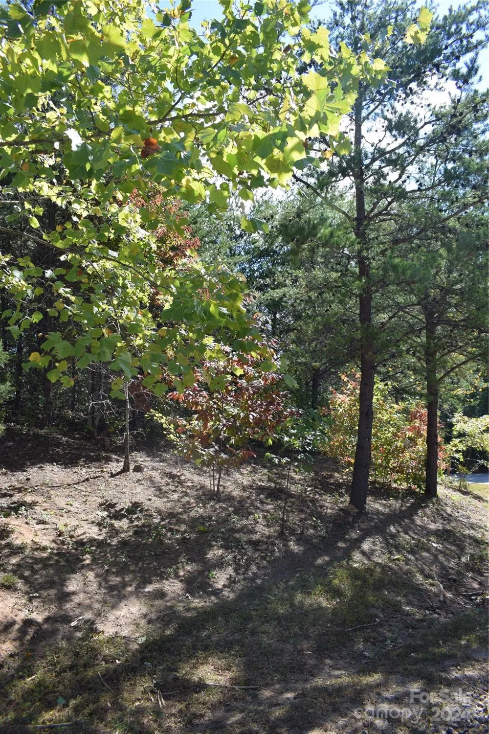 0 Holland Drive #3 Columbus, NC 28722
