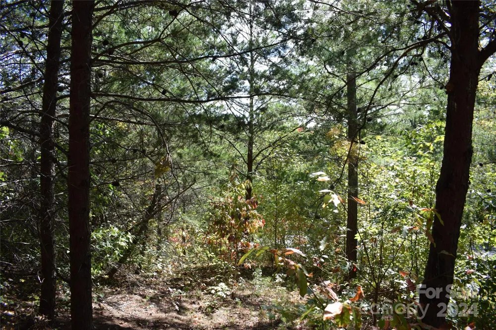 0 Holland Drive #3 Columbus, NC 28722