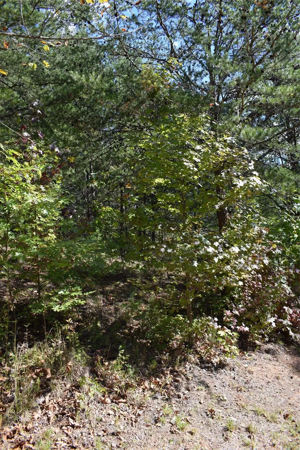 0 Holland Drive #3 Columbus, NC 28722