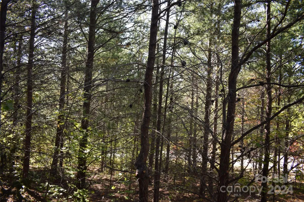 0 Holland Drive #3 Columbus, NC 28722