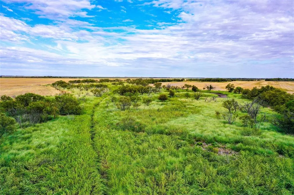 CR 223 Weinert, TX 76388