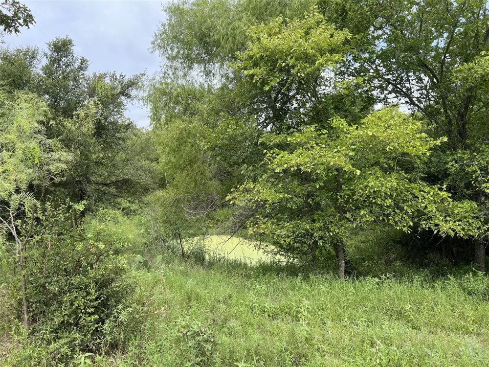 298 Jenkins Road Cedar Creek, TX 78612