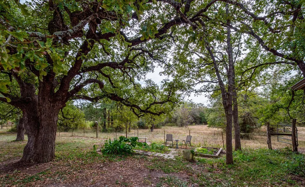 298 Jenkins Road Cedar Creek, TX 78612