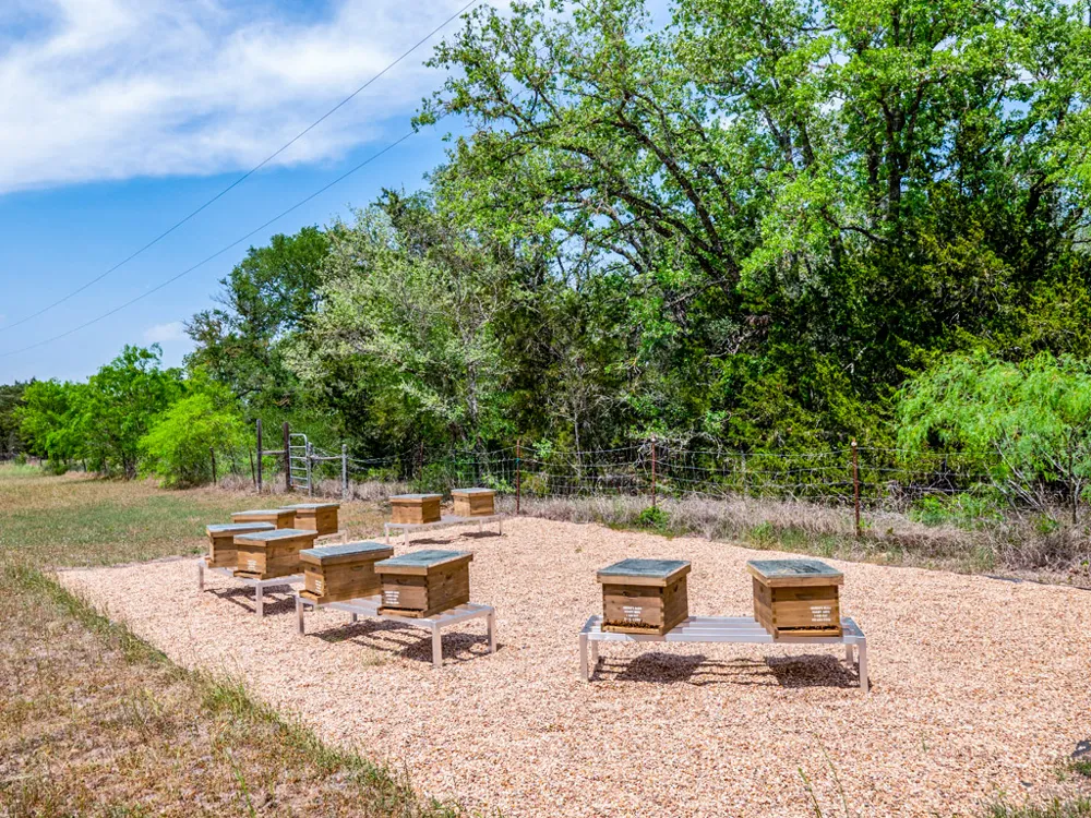 298 Jenkins Road Cedar Creek, TX 78612