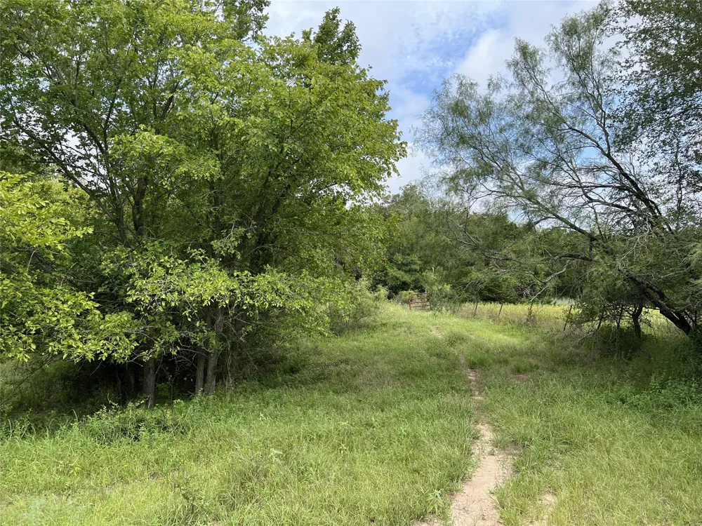 298 Jenkins Road Cedar Creek, TX 78612