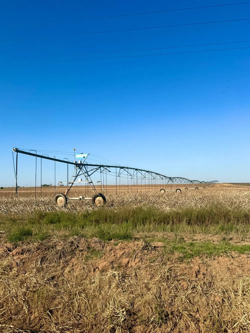 County Road DD Plainview, TX 79072