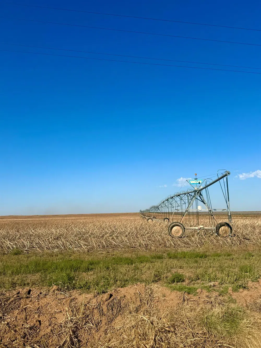 County Road DD Plainview, TX 79072