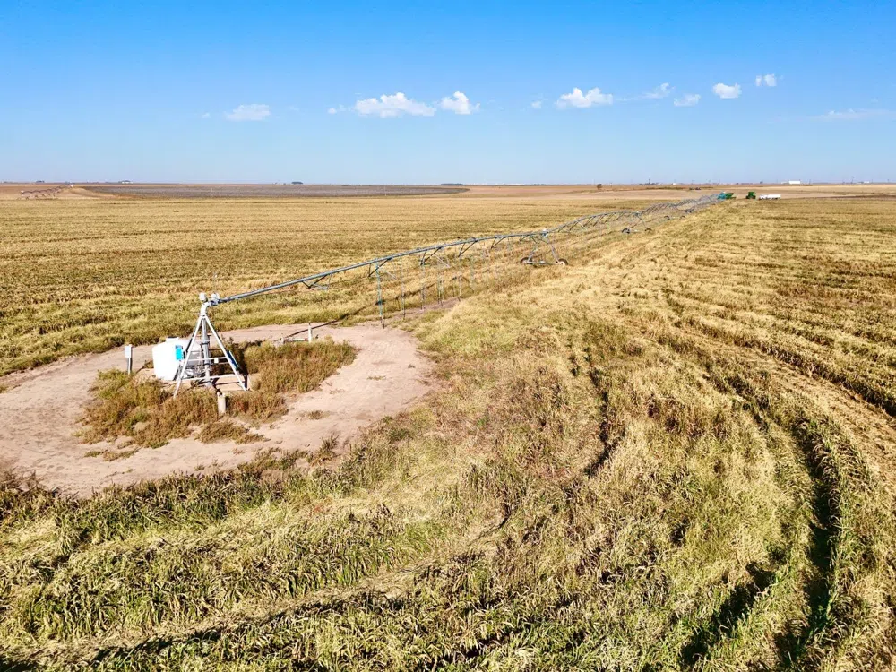 County Road DD Plainview, TX 79072