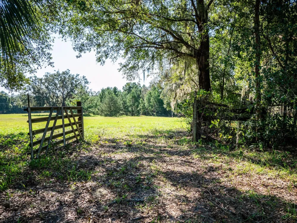 12146 E HIGHWAY 318 Fort Mc Coy, FL 32134