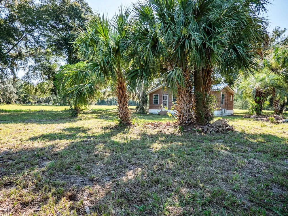 12146 E HIGHWAY 318 Fort Mc Coy, FL 32134