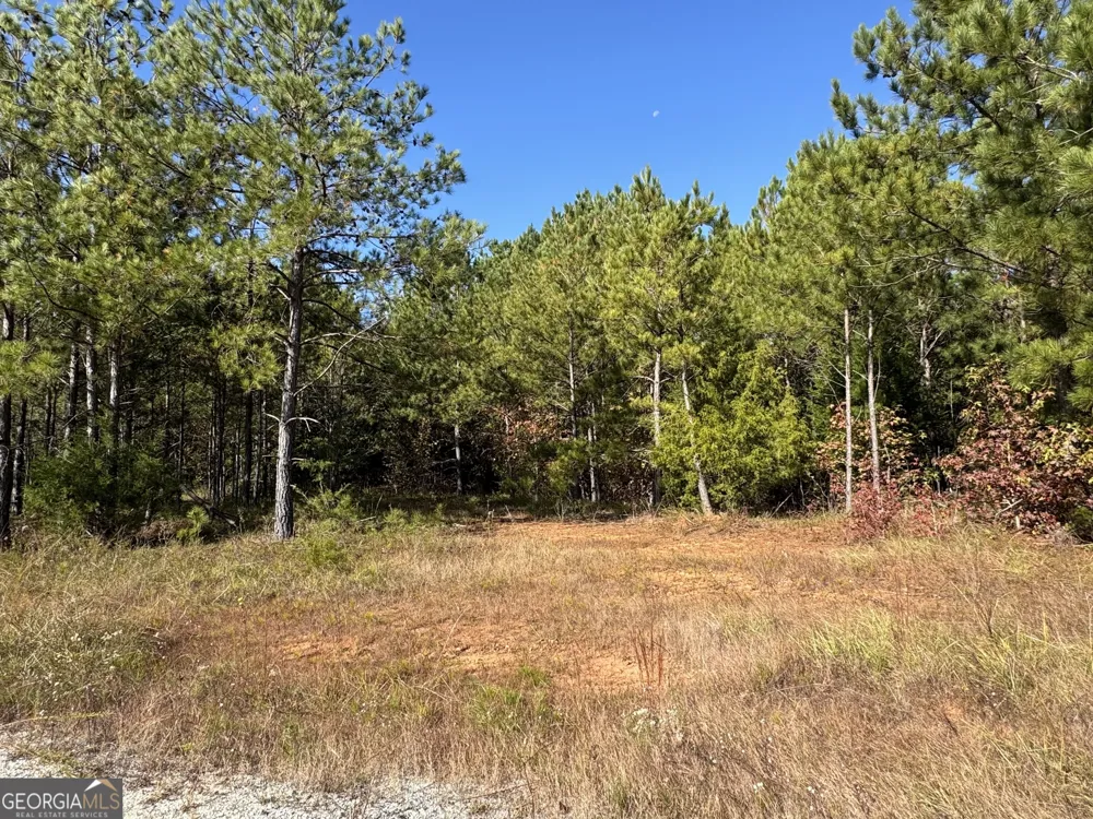 0 Crystal DR Elberton, GA 30635