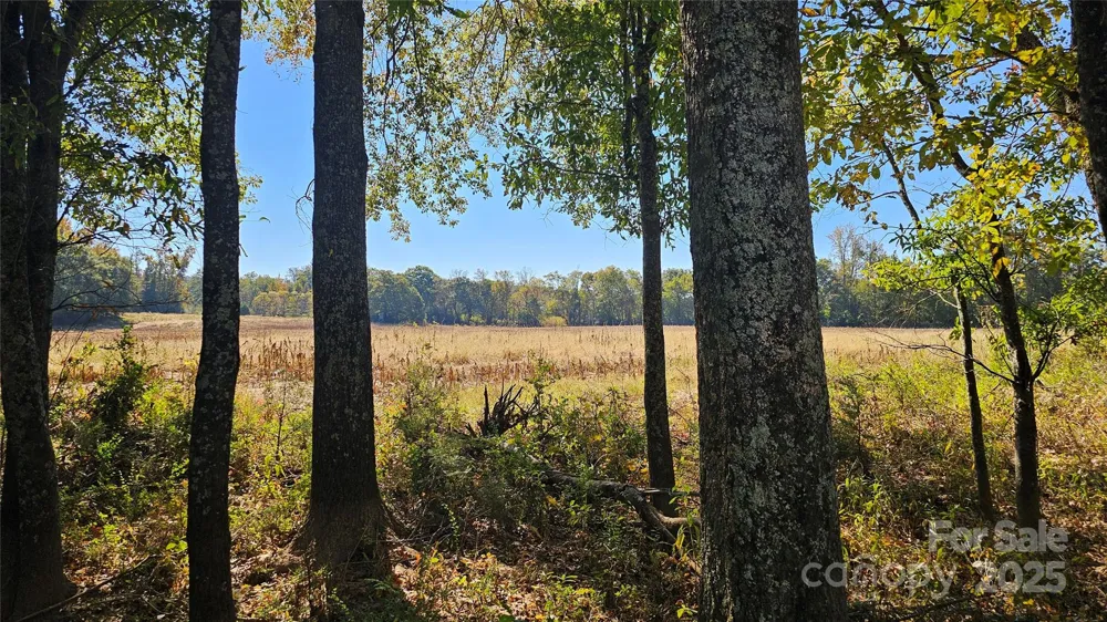 10130 Reed Mine Road Midland, NC 28107