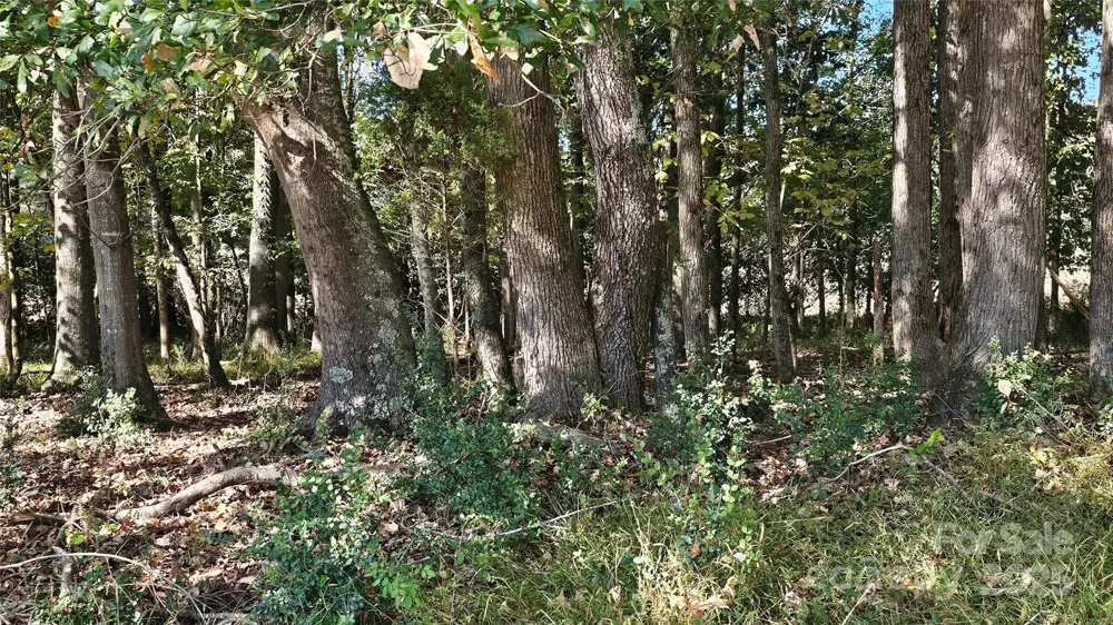 10130 Reed Mine Road Midland, NC 28107