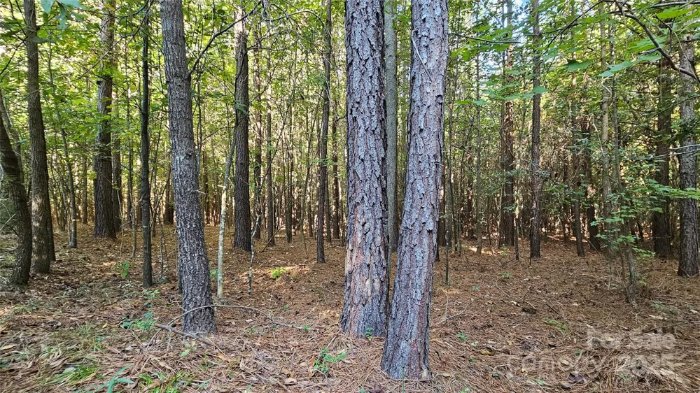 10130 Reed Mine Road Midland, NC 28107