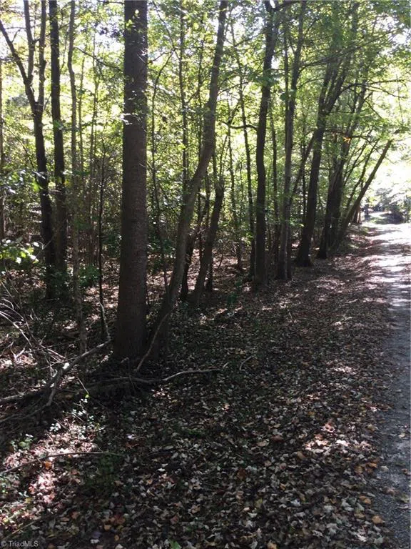 00 & 000 Terrell Street Mebane, NC 27302