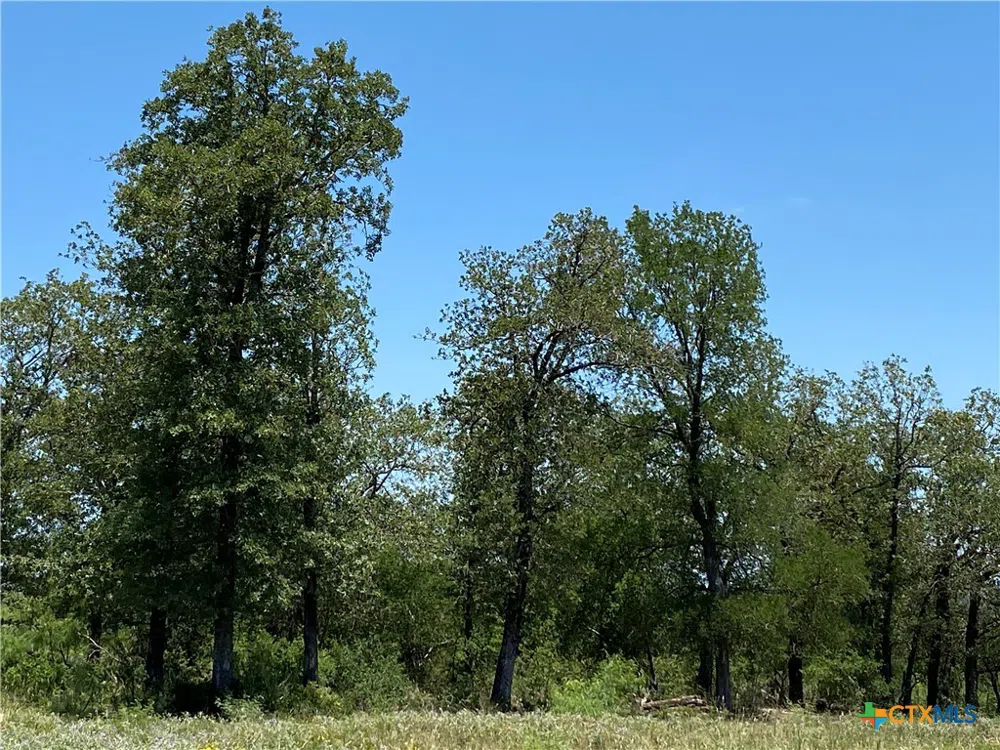Fm-86 Luling, TX 78648