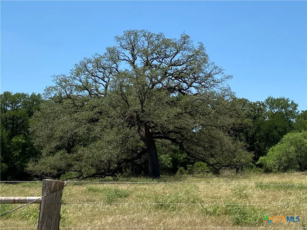 Fm-86 Luling, TX 78648