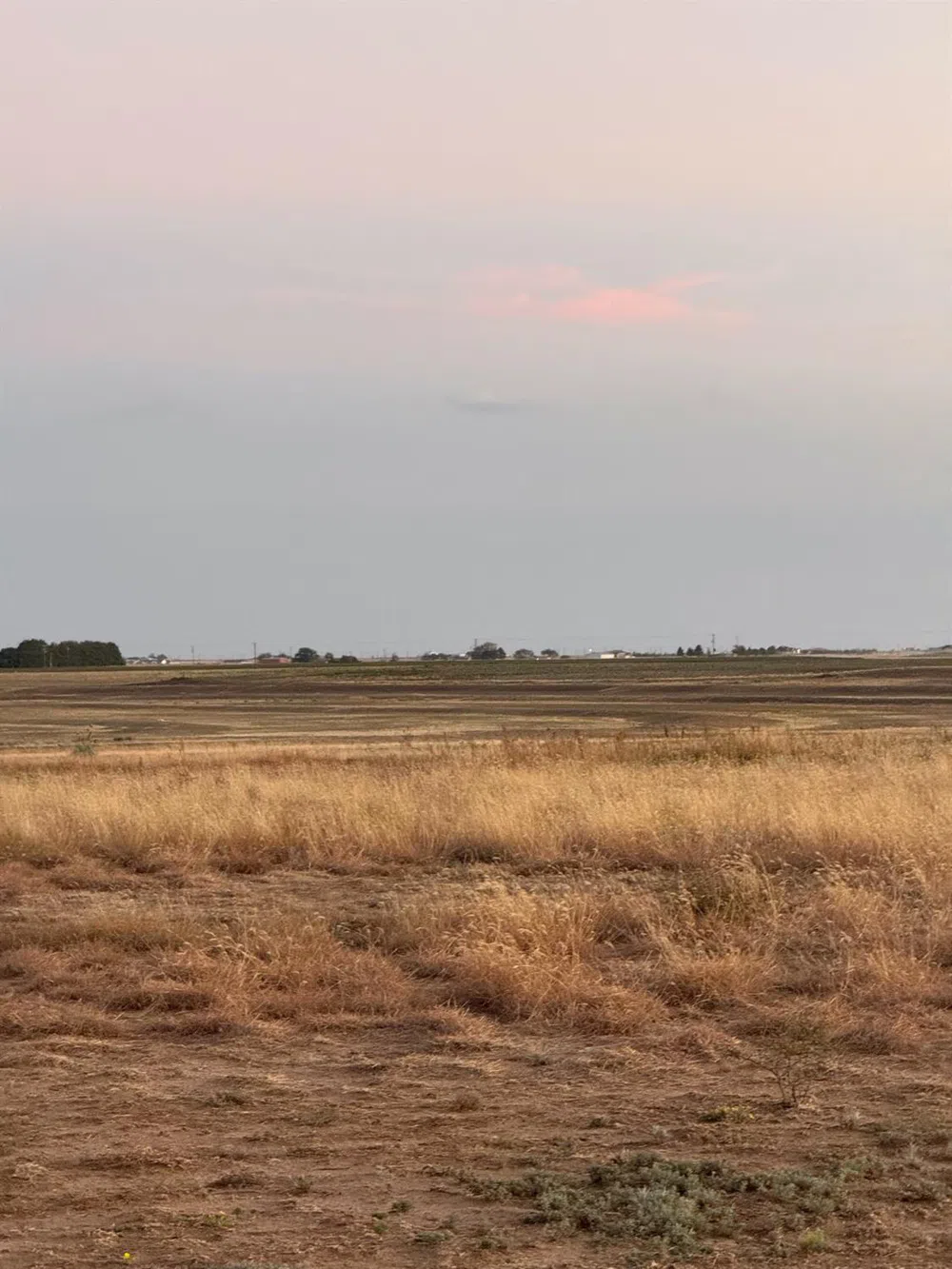 County Road 6 New Home, TX 79383
