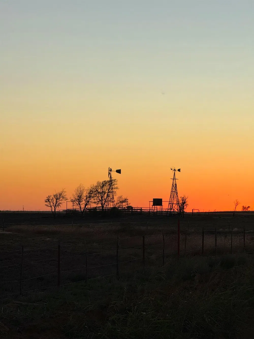 County Road 6 New Home, TX 79383