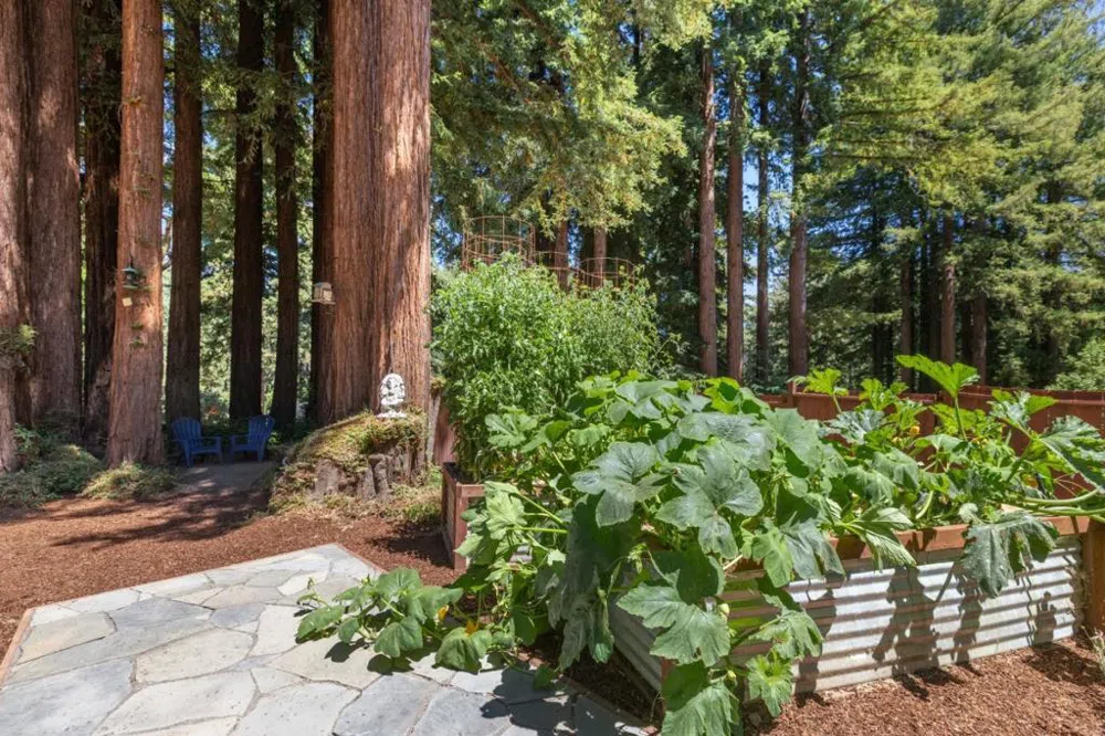 674 Mountain View Drive Ben Lomond, CA 95005
