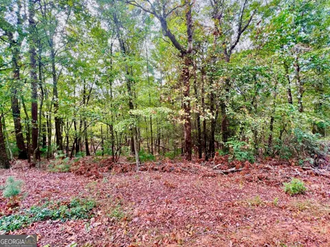 298 Etowah DR