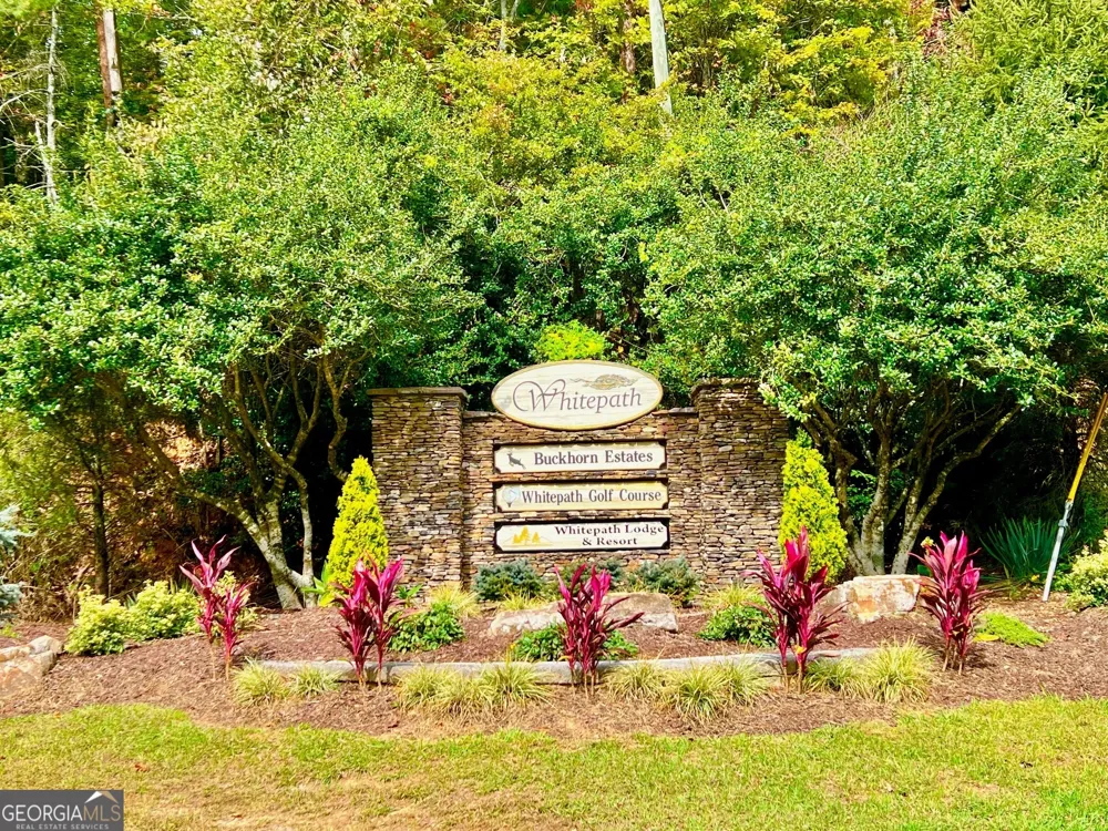 298 Etowah DR Ellijay, GA 30540