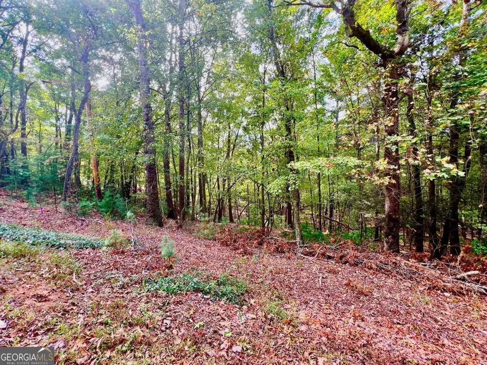 298 Etowah DR Ellijay, GA 30540