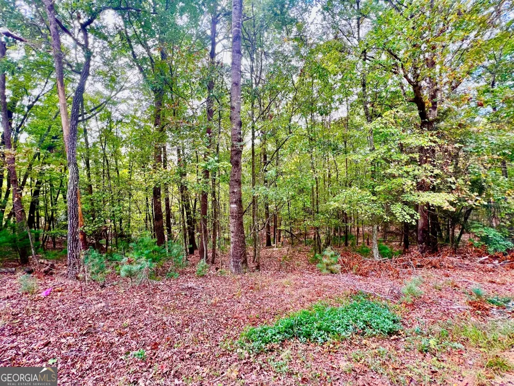 298 Etowah DR Ellijay, GA 30540