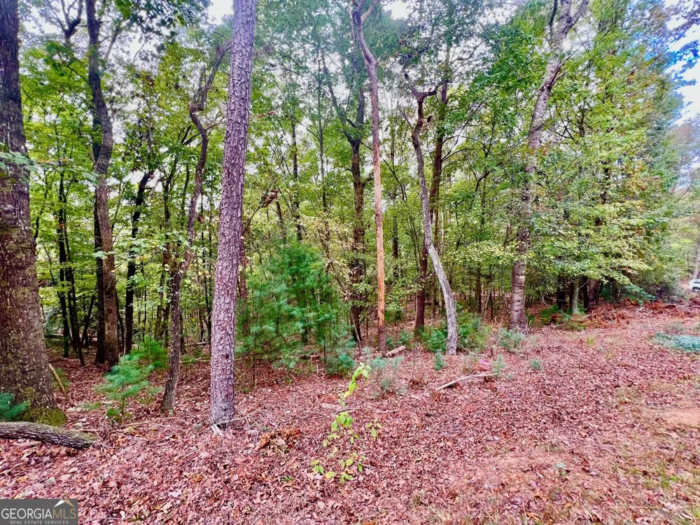 298 Etowah DR Ellijay, GA 30540
