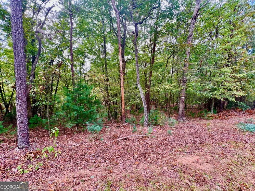 298 Etowah DR Ellijay, GA 30540