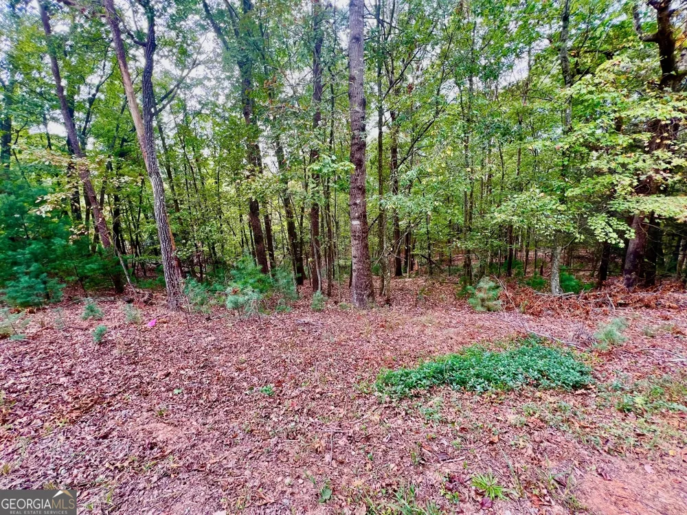 298 Etowah DR Ellijay, GA 30540
