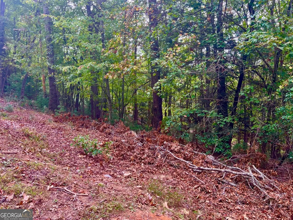 298 Etowah DR Ellijay, GA 30540