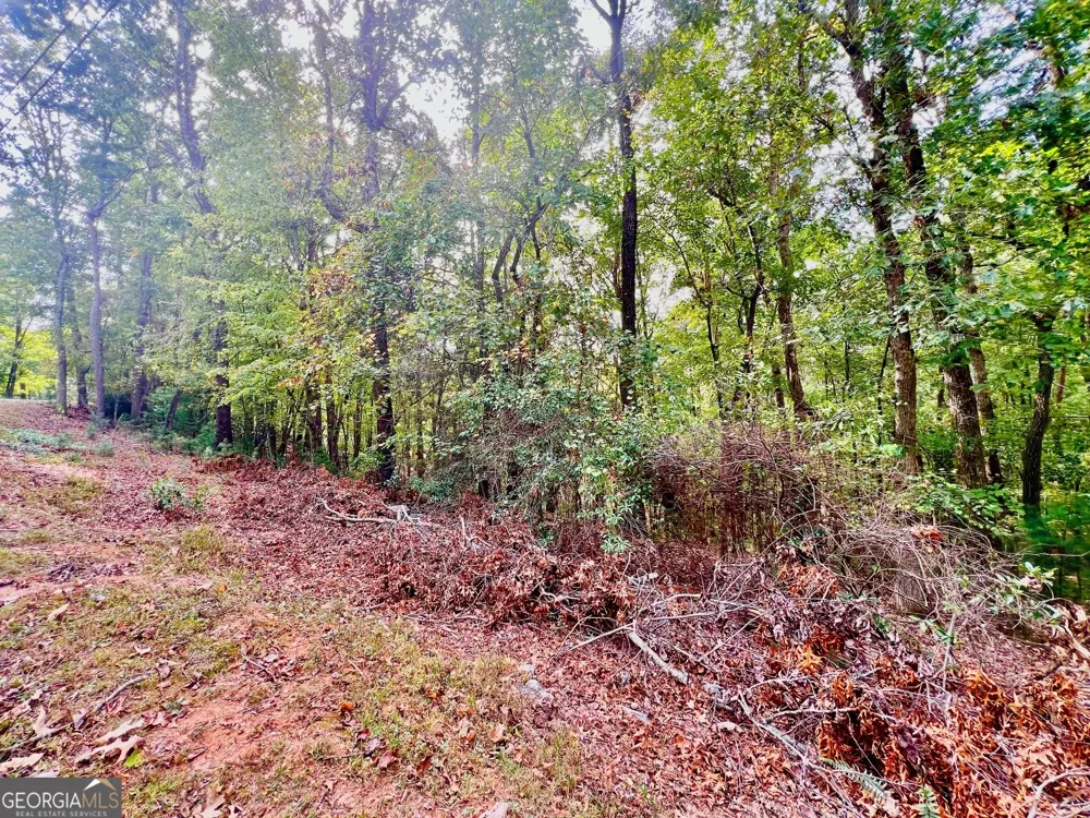 298 Etowah DR Ellijay, GA 30540