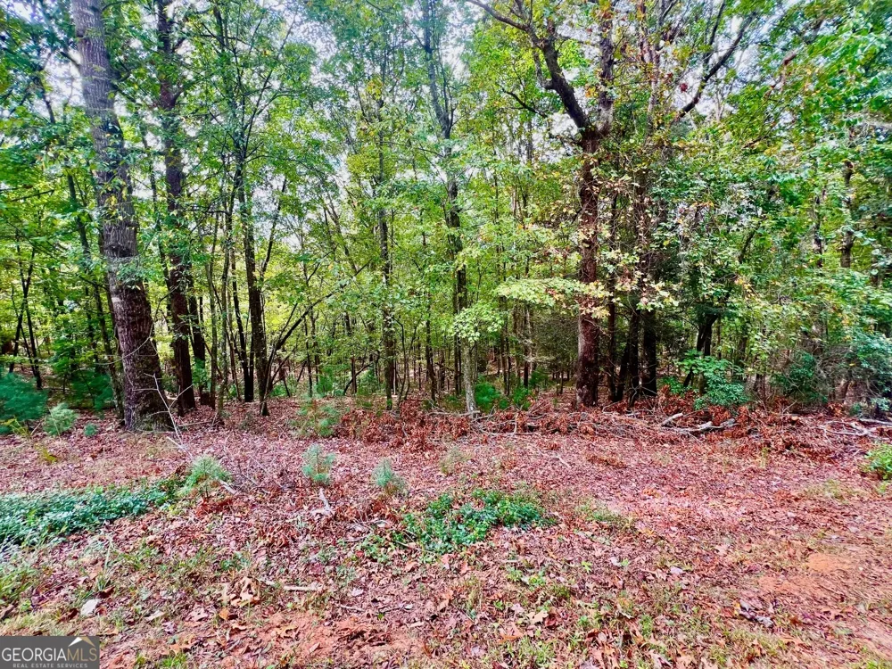 298 Etowah DR Ellijay, GA 30540