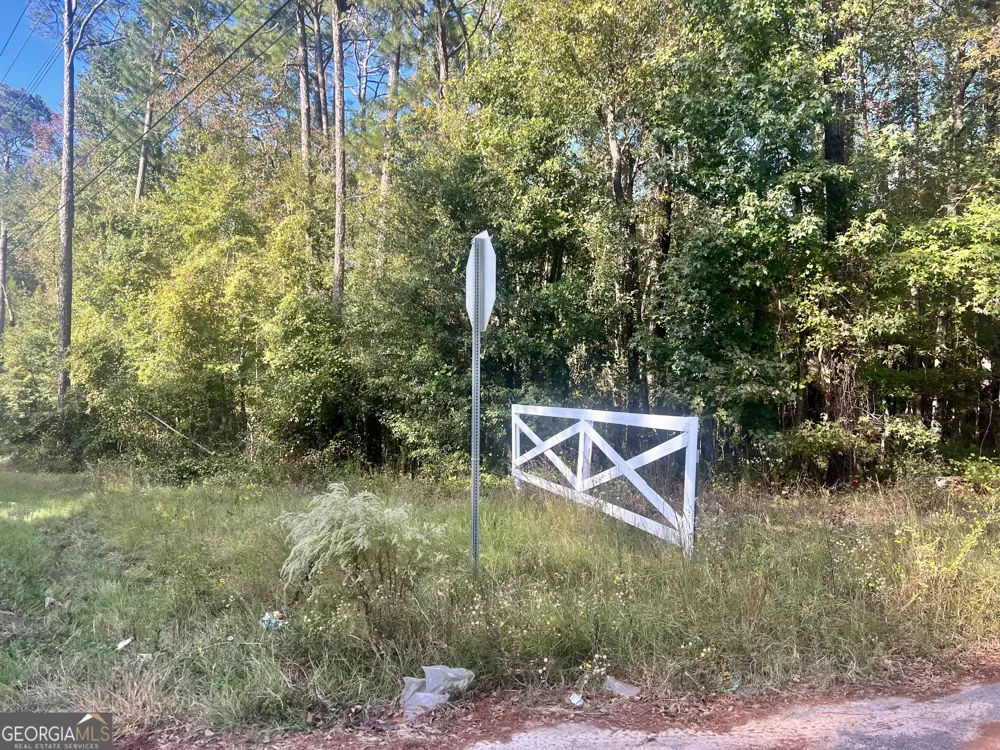 0 Shady Oaks RD Eastman, GA 31023