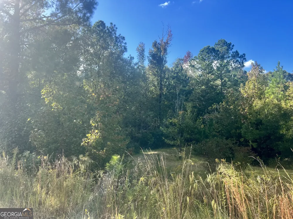 0 Shady Oaks RD Eastman, GA 31023