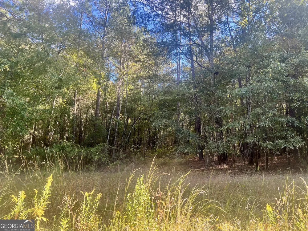 0 Shady Oaks RD Eastman, GA 31023