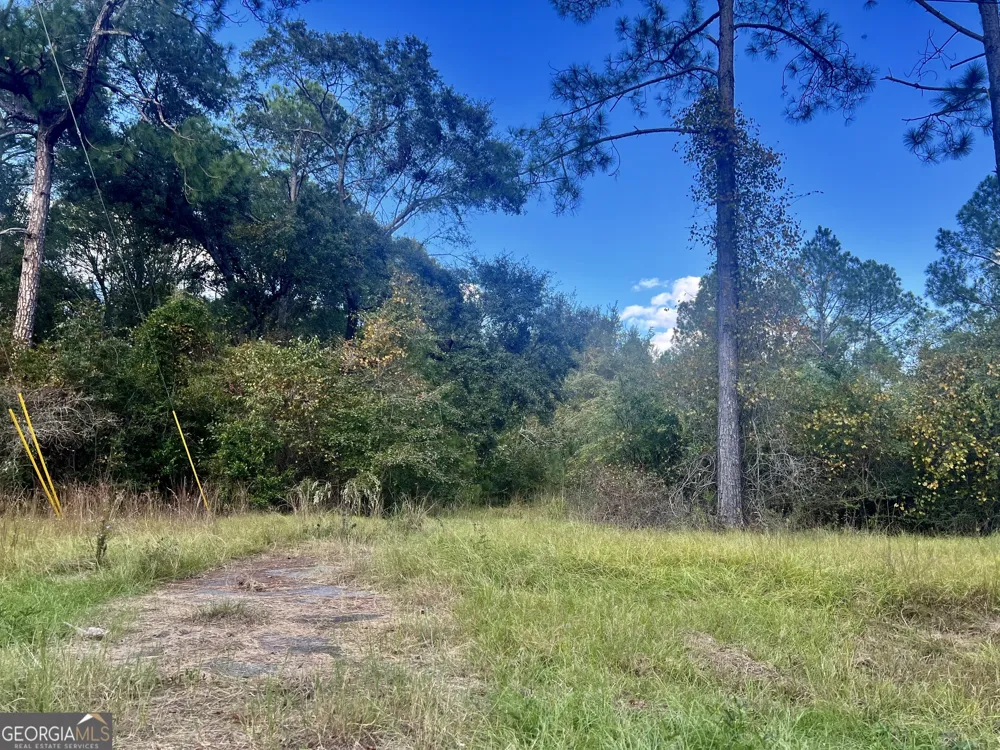 0 Shady Oaks RD Eastman, GA 31023