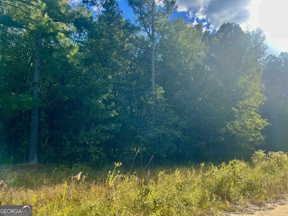 0 Shady Oaks RD Eastman, GA 31023