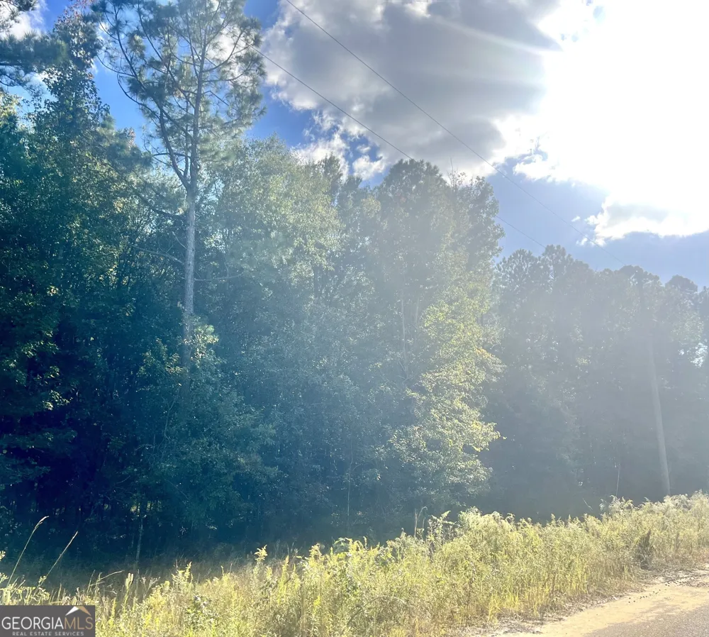 0 Shady Oaks RD Eastman, GA 31023